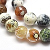 Dyed Natural Agate Faceted Round Beads Strands G-E269-03-2