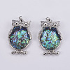 Abalone Shell/Paua Shell Pendants SSHEL-L008-28P-2