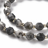 Natural Labradorite Beads Strands X-G-S362-085A-3