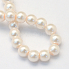 Baking Painted Pearlized Glass Pearl Round Bead Strands HY-Q003-14mm-41-4