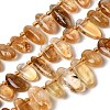 Natural Citrine(Heated) Beads Strands G-P604-A25-01-1