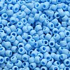 TOHO 6/0 Round Beads SEED-TR06-0403F-4