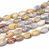 Natural Crazy Lace Agate Flat Oval Bead Strands G-M206-18-1