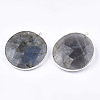 Natural Labradorite Pendants G-T112-29A-2