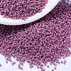 MIYUKI Delica Beads SEED-MY11-DB2137-1