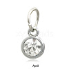 Platinum Plated Alloy Glass Rhinestone Charms PALLOY-TAC0016-B04-P-1