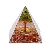 Orgonite Pyramid Resin Energy Generators DJEW-D013-06B-1