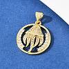 Brass Micro Pave Cubic Zirconia Pendant & Stud Earrings Sets for Women SJEW-F227-01L-G-5