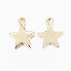 304 Stainless Steel Charms STAS-H436-51-2