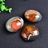 Natural Ocean Jasper Oval Palm Stone Reiki Polished Healing Pocket Worry Stone Crystal for Anxiety Stress Relief Therapy PW-WGFDB78-01-3