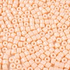 Opaque Baking Paint Glass Seed Beads SEED-T008-02C-3