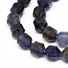 Natural Iolite Beads Strands G-O201C-16-3