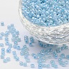 13G 8/0 Glass Seed Beads SEED-YW0001-85B-1