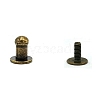 Zinc Alloy Rivets Set PW-WGCEAE9-04-1