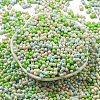Opaque Baking Paint Glass Seed Beads SEED-K009-01A-31-2