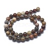 Natural Petrified Wood Beads Strands LS-G-I254-07B-2