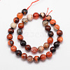 Natural Fire Agate Bead Strands X-G-K166-07F-10mm-13-2