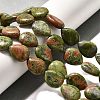 Natural Unakite Beads Strands G-P561-B02-01-2