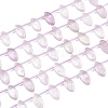Natural Amethyst Beads Strands G-P607-A05-01-2