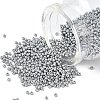 12/0 Grade A Glass Seed Beads X-SEED-Q009-FJX34-1