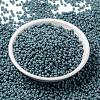 MIYUKI Round Rocailles Beads SEED-G008-RR4479-2