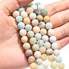 Natural Flower Amazonite Beads Strands X-G-G692-01F-8mm-5