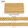 Polyester Braided Lace Trim OCOR-WH0078-09A-2