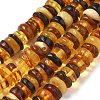 Natural Amber Beads Strands G-K387-C01-01-2