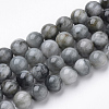 Natural Hawk's Eye Beads Strands G-S150-49-6mm-1