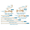  2Pcs Brass Hook and S-Hook Clasps DIY-TA0004-25-21