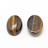 Natural Tiger Eye Cabochons X-G-R415-13x18-35-2