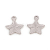 Non-Tarnish 201 Stainless Steel Charms STAS-L244-18P-2