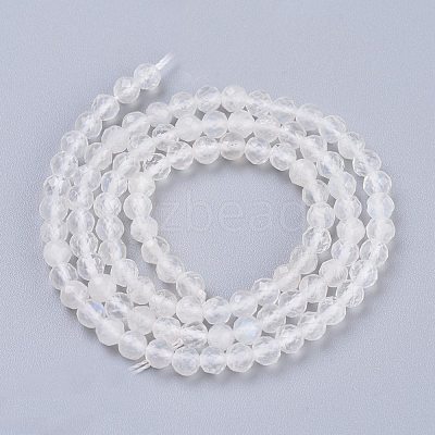 Natural Rainbow Moonstone Beads Strands G-R475-030-1