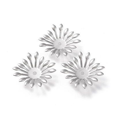 Non-Tarnish 304 Stainless Steel Bead Caps STAS-K194-13P-1