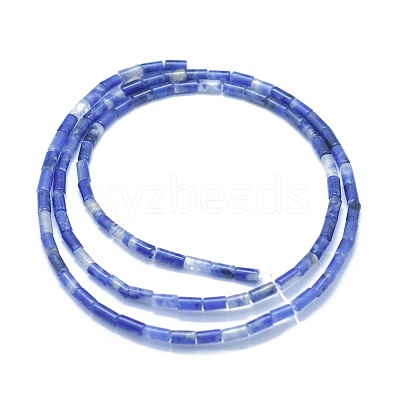 Natural Sodalite Beads Strands G-F631-B09-1