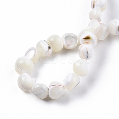 Natural Trochid Shell/Trochus Shell Beads Strands SSHEL-N032-48-1