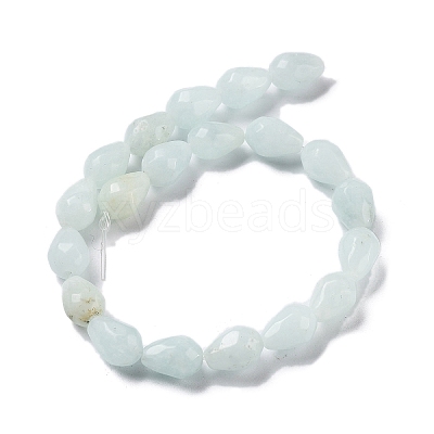 Natural Amazonite Beads Strands G-P520-B10-01-1
