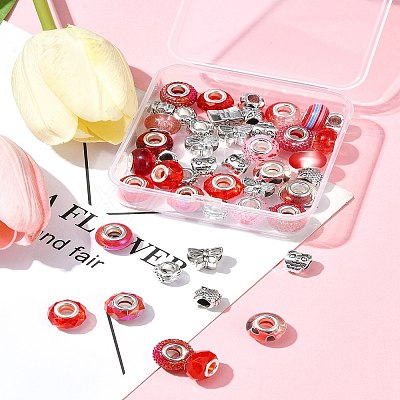 DIY Tibetan Style Alloy & Resin European Beads Making Finding Kits DIY-FS0006-78E-1