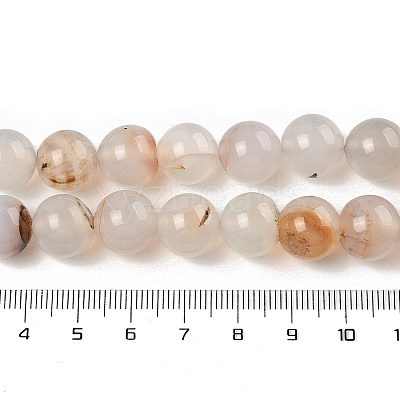 Natural Dendritic Agate Beads Strands G-A248-A07-02-1