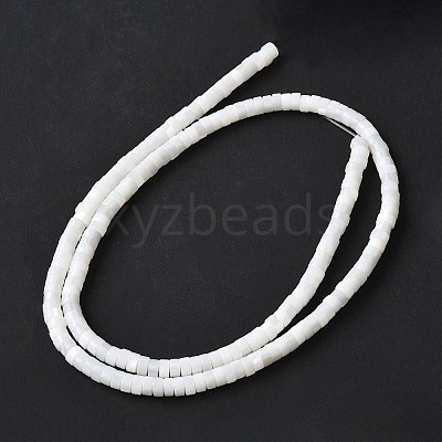 Natural Freshwater Shell Beads Strands X-SSHEL-C013-04B-1