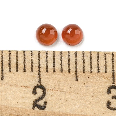 Natural Carnelian Cabochons G-Q173-01A-14-1