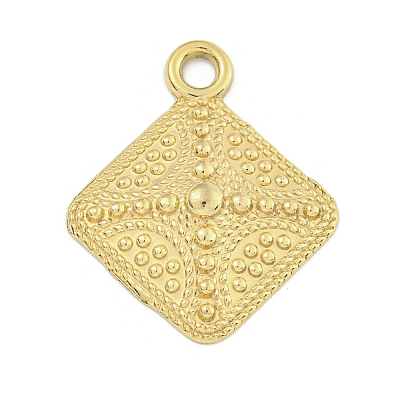 Ion Plating(IP) 304 Stainless Steel Pendants STAS-I307-570G-1