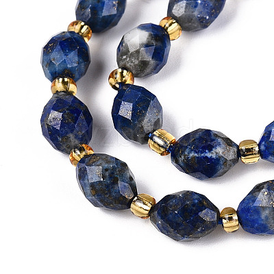 Natural Lapis Lazuli Beads Strands G-N342-53-8x6-10-1