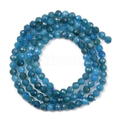 Natural Apatite Beads Strands X-G-E411-36-3mm-01-1