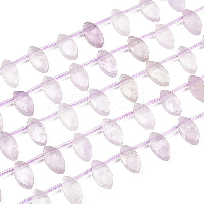 Natural Amethyst Beads Strands G-P607-A05-01-1