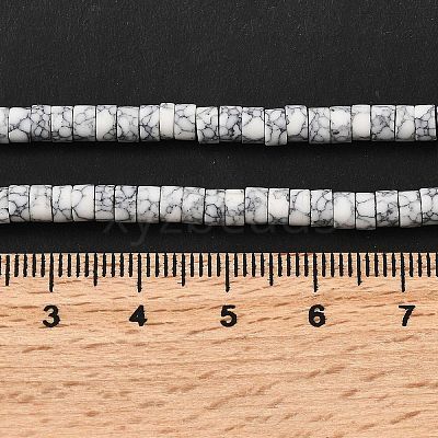 Dyed Synthetic Turquoise Beads Strands G-Z089-A04-A-1