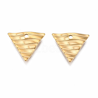 304 Stainless Steel Charms STAS-S080-056G-NR-1