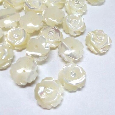 Half Drilled Natural White Shell Rose Flower Flatback Beads X-SH159-1