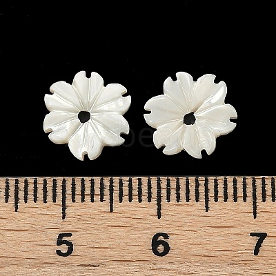 Natural Trochus Shell Flower Charms SHEL-K006-46B-1