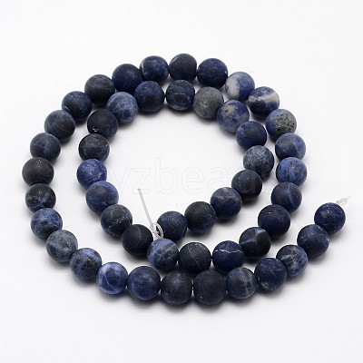 Natural Sodalite Beads Strands LS-G-D682-10mm-1